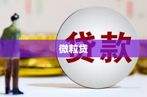 西陵微粒贷