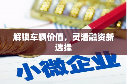 西陵解锁车辆价值，灵活融资新选择