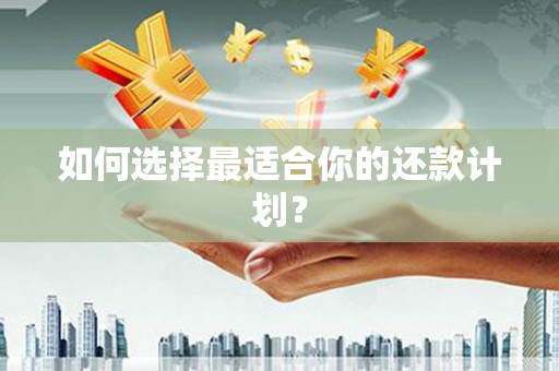 西陵如何选择最适合你的还款计划？