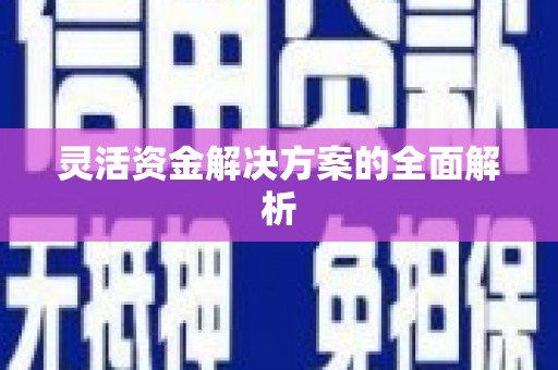 西陵灵活资金解决方案的全面解析