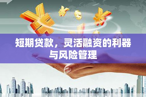 西陵短期贷款，灵活融资的利器与风险管理