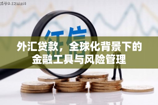 西陵外汇贷款，全球化背景下的金融工具与风险管理
