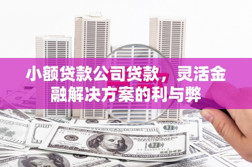 西陵小额贷款公司贷款，灵活金融解决方案的利与弊